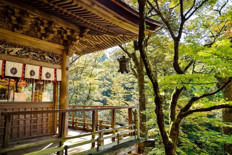 Outdoor landscapes